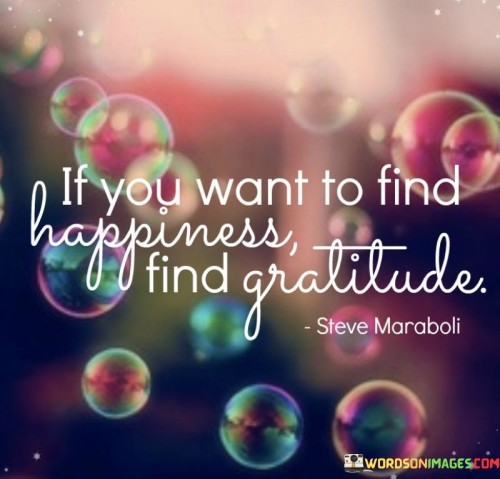 If You Want To Find Happiness Find Gratitude Quotes
