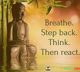 Breathe Step Back Think Then React Quotes