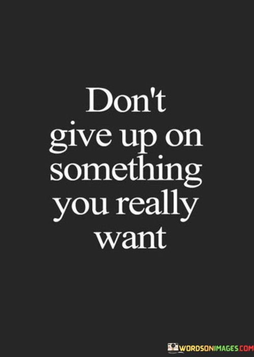 Don't Give Up On Something You Really Want Quotes