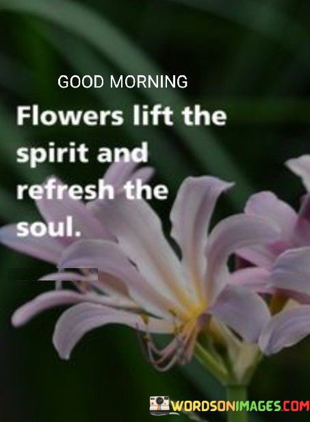 Flowers-Lift-Spirit-And-Refresh-The-Soul-Quotes.jpeg