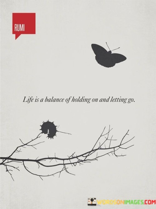 Life-Is-A-Balance-Of-Holding-On-And-Letting-Go-Quotes.jpeg