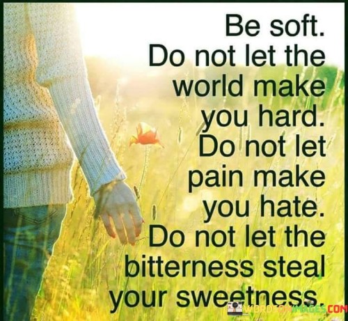 Be Soft Do Not Let The World Make Quotes