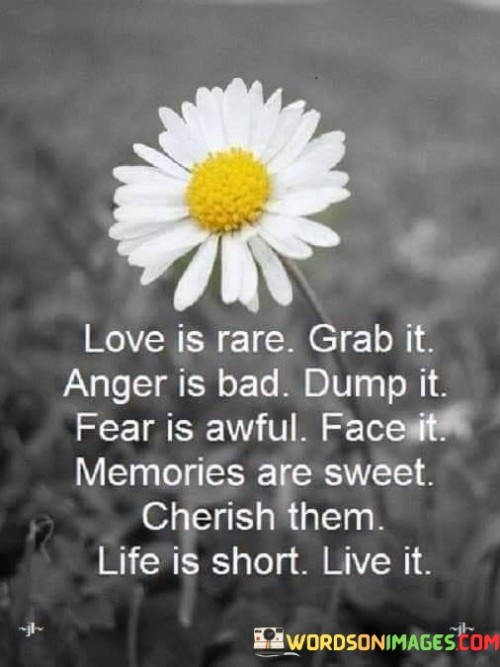 Love Is Rare Grab It Anger Is Bad Dumb It Quotes