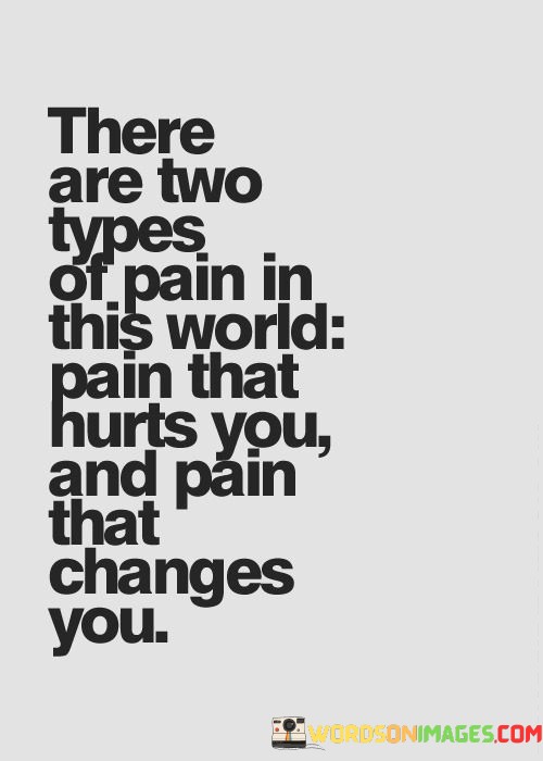 There-Are-Two-Types-Of-Pain-In-Quotes.jpeg