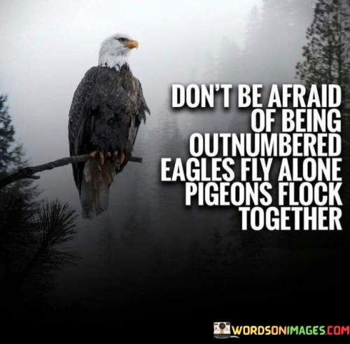 Don't Be Afraid Of Being Outnumbered Eagles Fly Alone Quotes