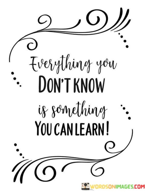 Everything You Don't Know Is Something You Can Learn Quotes