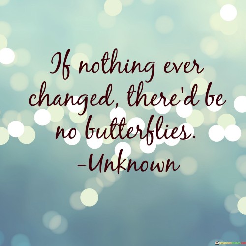 If Nothing Ever Changed There'd Be No Butterflies Quotes