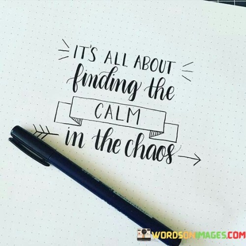 It's All About Finding The Calm In The Chaos Quotes