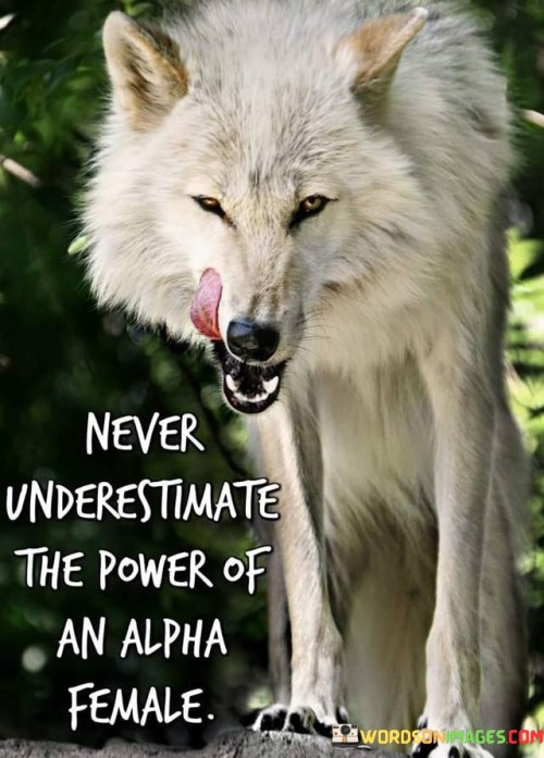 This quote serves as a reminder to never underestimate the immense power and influence that an alpha female possesses. An alpha female refers to a woman who embodies strength, confidence, and assertiveness, often challenging traditional gender roles and societal expectations. The quote suggests that it is essential to recognize and acknowledge the capabilities and impact of these women. Alpha females possess a unique ability to lead, inspire, and effect meaningful change. They demonstrate resilience, determination, and the courage to stand up for their beliefs. Their influence extends beyond personal success, as they serve as role models, empowering other women to embrace their own strength and potential. By underestimating the power of an alpha female, society risks overlooking the transformative contributions she can make. This quote urges us to appreciate and support the leadership and influence of alpha females, ultimately fostering a more inclusive and equitable world.