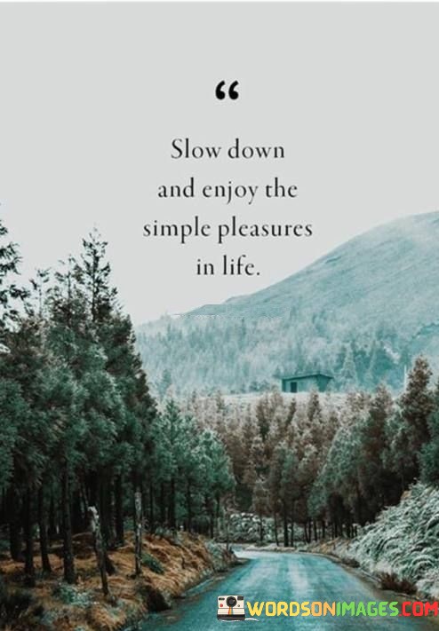 Slow-Down-And-Enjoy-The-Simple-Pleasures-In-Life-Quotes.jpeg