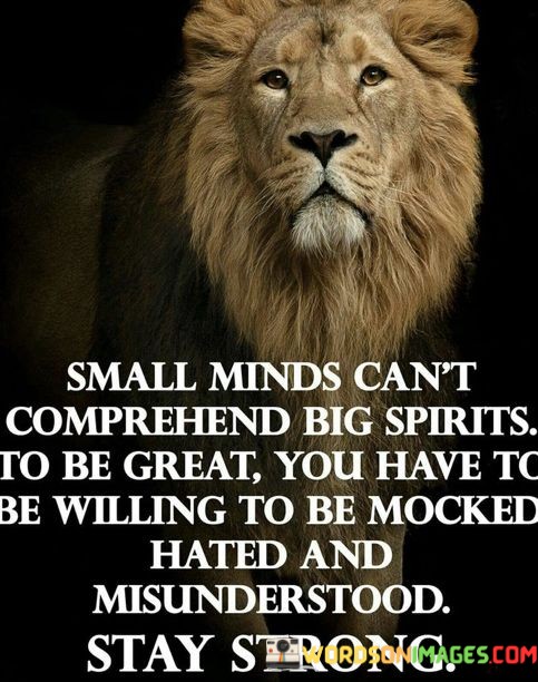 Small-Minds-Cant-Comprehend-Big-Spirits-To-Be-Great-Quotes.jpeg