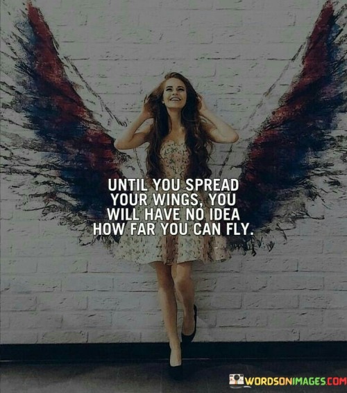 Until You Spread Your Wings You Will Have No Idea Quotes