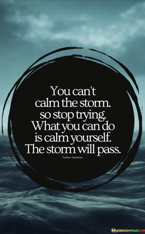 You Can't Calm The Storm So Stop Trying What Quotes