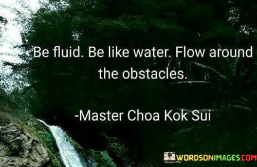 Be-Fluid-Be-Like-Water-Flow-Around-The-Obstacles-Quotes.jpeg