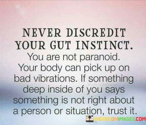 Never Discredit Your Gut Instinct You Are Quotes