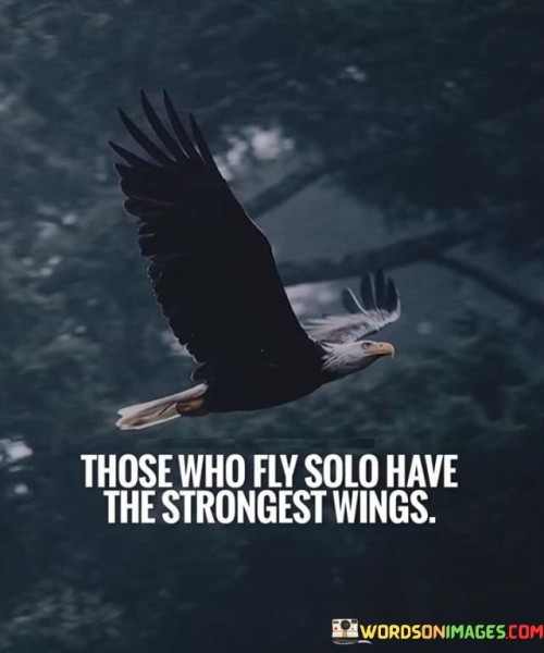 Those-Who-Fly-Solo-Have-The-Quotes.jpeg