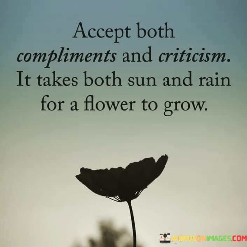 Accept-Both-Compliments-And-Criticism-It-Takes-Both-Sun-Quotes.jpeg