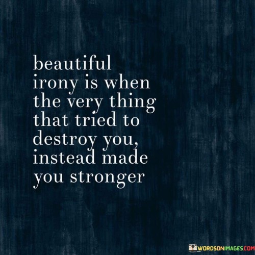 Beautiful-Irony-Is-When-The-Very-Thing-That-Tried-Quotes.jpeg
