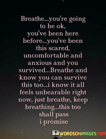 Breathe You're Going To Be Ok You've Been Here Quotes