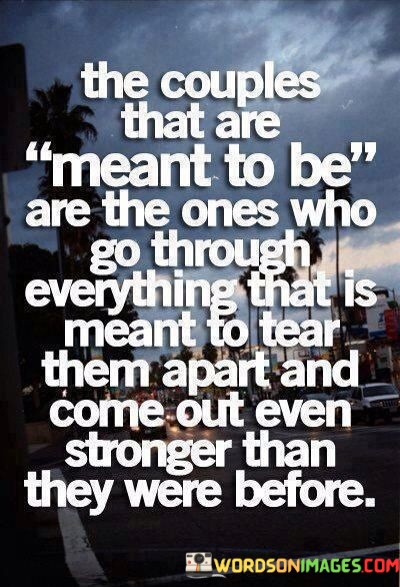 The-Couples-That-Are-Meant-To-Be-Are-The-Quotes.jpeg