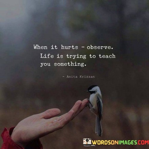 When It Hurts Observe Life Is Trying Quotes