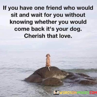 If-You-Have-One-Friend-Who-Would-Sit-And-Quotes.jpeg