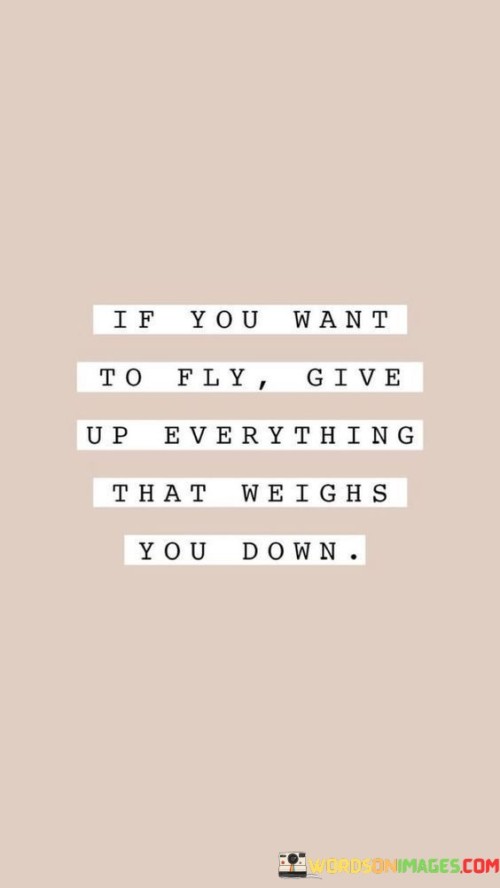 If-You-Want-To-Fly-Give-Up-Everything-That-Weighs-You-Down-Quotes.jpeg