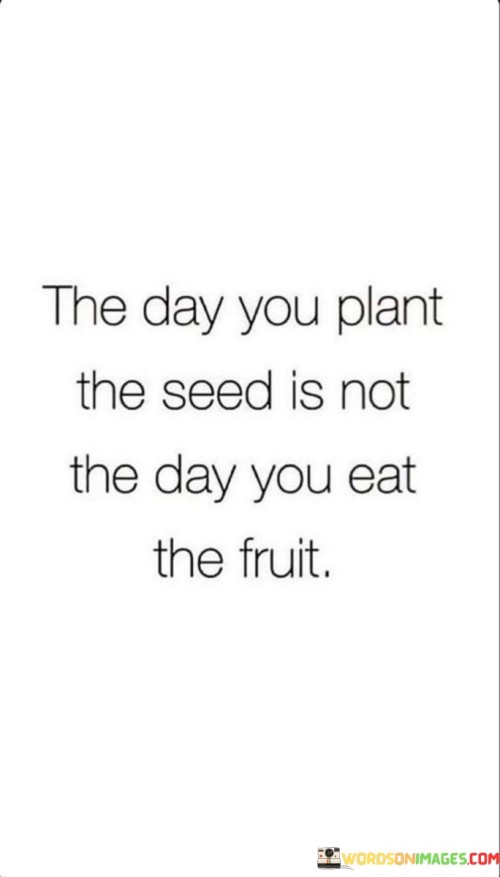 The-Day-You-Plant-The-Seed-Is-Not-The-Day-You-Eat-The-Fruit-Quotes.jpeg