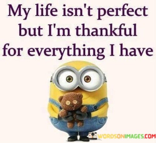 My Life Isn't Perfect But I'm Thankful For Everything I Have Quotes