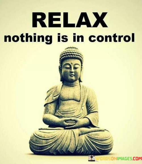 Relax-Nothing-Is-In-Control-Quotes.jpeg