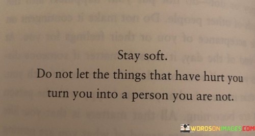 Stay Soft Do Not Let The Things That Have Hurt Quotes