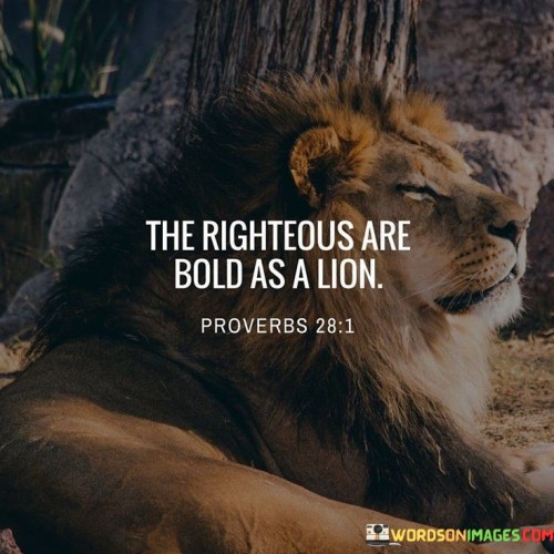 The Righteous Are Bold As A Lion Quotes