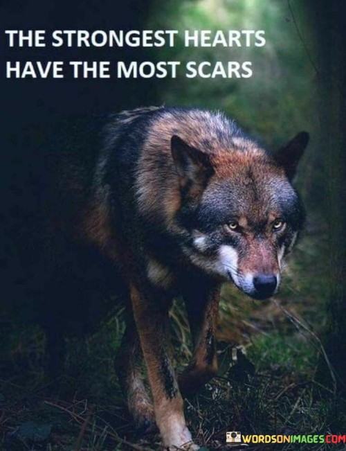 The-Strongest-Hearts-Have-The-Most-Scars-Quotes.jpeg