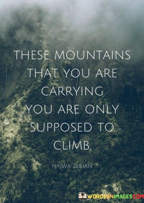 These-Mountain-That-You-Are-Carrying-You-Are-Only-Supposed-To-Climb-Quotes.jpeg