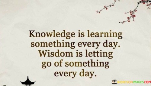 Knowledge Is Learning Something Every Day Wisdom Is Letting Quotes