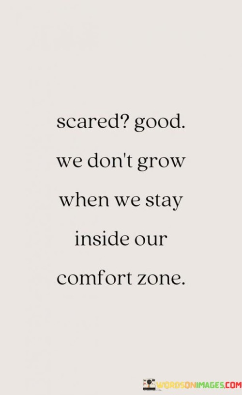 Scared Good We Don't Grow When We Stay Inside Our Comfort Zone Quotes