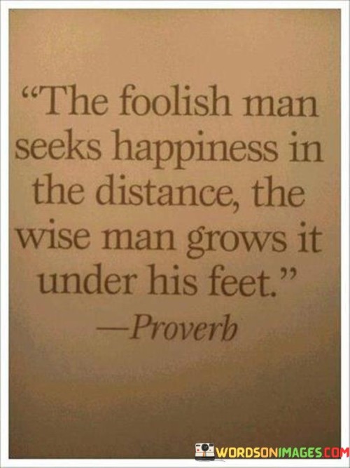 The-Foolish-Man-Seeks-Happines-In-The-Distance-The-Quotes.jpeg
