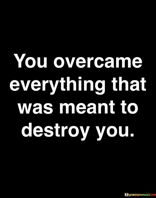 You-Overcame-Everything-That-Was-Meant-To-Destroy-You-Quotes.jpeg