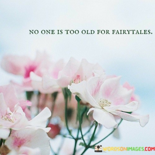 Fairytales resonate with all ages. This quote suggests that the magic and wonder of fairytales aren't restricted by age. It's like recognizing that these stories have the power to captivate and enchant people of all generations.

Imagination knows no age limits. This saying captures the essence of how the world of fairytales feeds into our inherent human ability to imagine and dream. It's as if emphasizing that the creativity and fantasy found in fairytales are accessible and relevant to everyone, regardless of their age.

Believing in the extraordinary remains timeless. This phrase underscores the concept that the themes of hope, courage, and extraordinary possibilities found in fairytales remain universally appealing. It's like realizing that the lessons and messages within these stories hold value and relevance throughout life. By embracing this notion, we celebrate the enduring charm of fairytales and the enduring quality of childlike wonder within us, no matter how old we are.