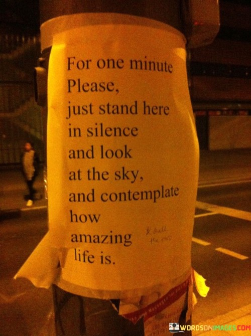 For-One-Minute-Please-Just-Stand-Here-In-Silence-And-Look-At-The-Sky-Quotes.jpeg