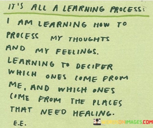 It's All A Learning Process Quotes