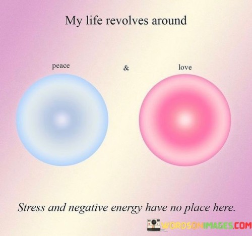 My-Life-Revolves-Around-Stress-And-Negative-Energy-Hane-No-Place-Here-Quotes.jpeg