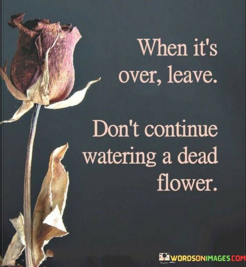 When It's Over Leave Don't Continue Watering A Dead Flower Quotes