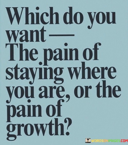 Which-Do-You-Want-The-Pain-Of-Staying-Where-You-Are-Quotes.jpeg