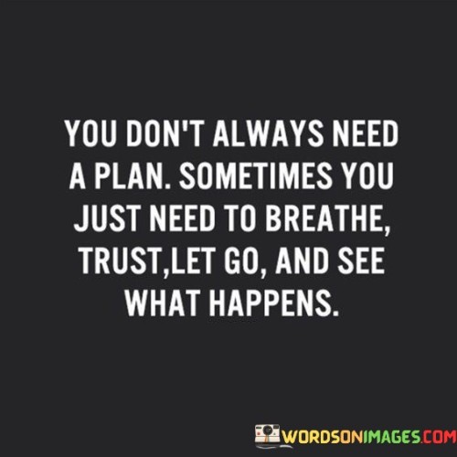 You Don't Always Need A Plan Sometimes You Just Need Quotes