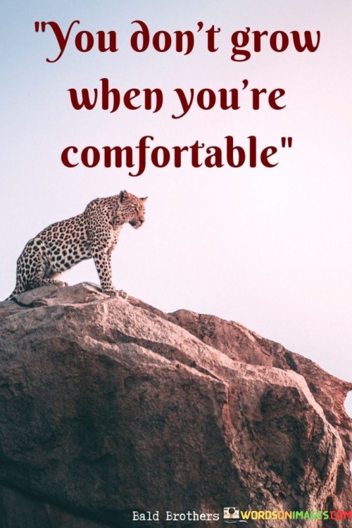 You Don't Grow When You're Comfortable Quotes