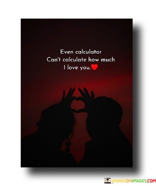 Even Calculator Can't Calculate How Much I Love You Quotes