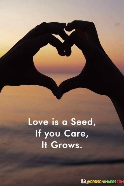 Love-Is-A-Seed-If-You-Care-It-Grows-Quotes.jpeg