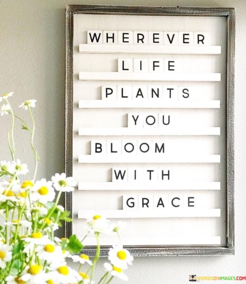 Wherever-Life-Plants-You-Bloom-With-Grace-Quotes.jpeg