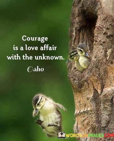 Courage-Is-A-Love-Affair-With-The-Unknown-Quotes.jpeg